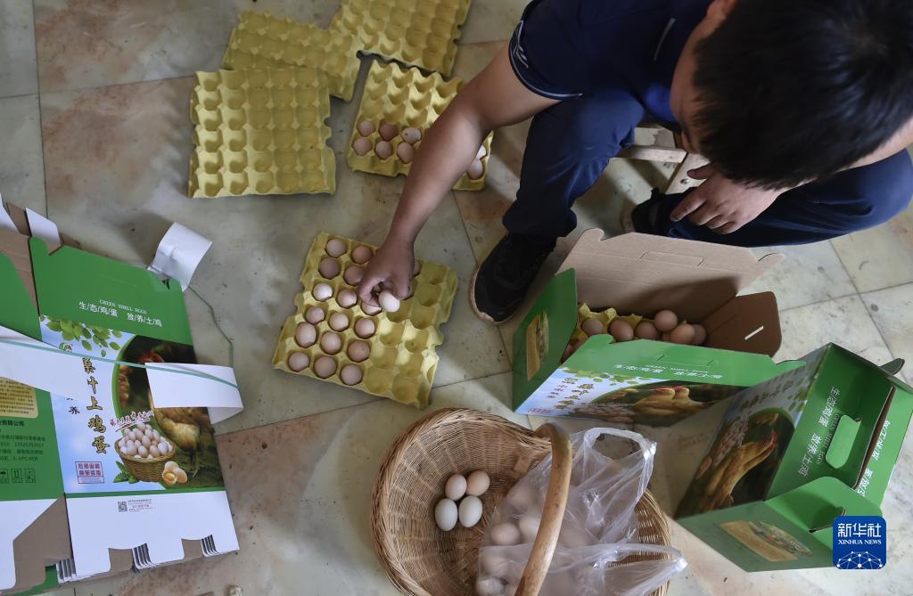 海上皇宮彩金